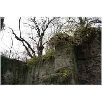 Steinmuehle-Hameln-Actionfoto24.de-003.jpg