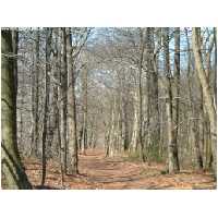 Weiter-Ort-Actionfoto24.de-003.jpg