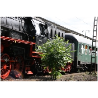Actionfoto24-de_Dampflok-Lehrte_026.jpg