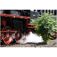 Actionfoto24-de_Dampflok-Lehrte_034.jpg