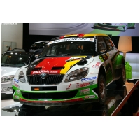 EssenMotorShow2011-ActionFoto24-de_217.jpg