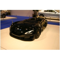 EssenMotorShow2011-ActionFoto24-de_253.jpg
