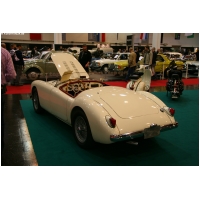EssenMotorShow2011-ActionFoto24-de_347.jpg