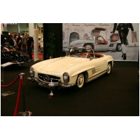 EssenMotorShow2011-ActionFoto24-de_423.jpg
