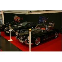 EssenMotorShow2011-ActionFoto24-de_467.jpg
