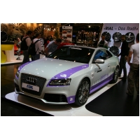 EssenMotorShow2011-ActionFoto24-de_487.jpg