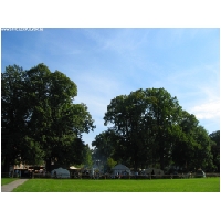 Seesen-Sehusa-ACTIONFOTO24-de_047.jpg