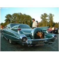 US-Car_ActionFoto24-de-104.jpg